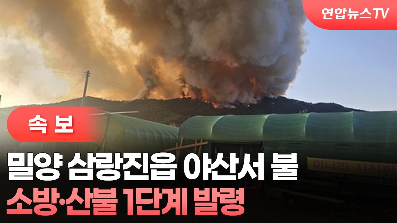 [속보] 밀양 삼랑진읍 야산서 불…소방·산불 1단계 발령 / 연합뉴스TV (YonhapnewsTV)