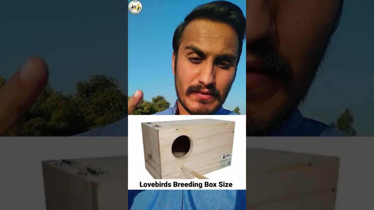 Lovebirds Breeding Box Size... #birds #parrot #lovebird #finch #gouldianfinch #java #dove