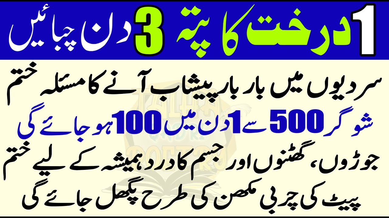 Quotes About life | Motivational Islamic Quotes | Golden Words | Rumi Quotes | Hazrat Ali Quotes