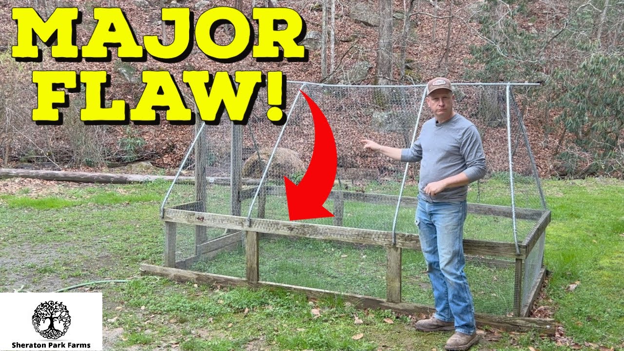 Salatin vs Suscovich Chicken Tractor - We Found A MAJOR Flaw!