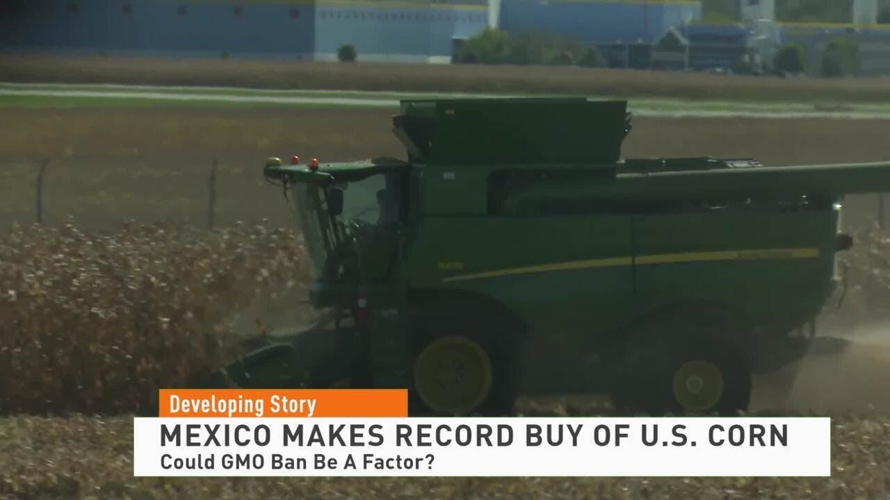 Mexico Makes Record Buy Of U.S. Corn