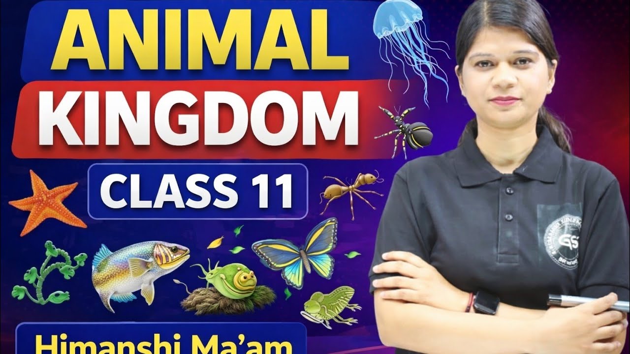 Animal Kingdom | Class 11th NCERT | NEET | State Boards | CBSE | By Himanshi Ma'am
