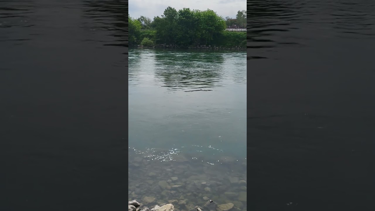 The Sava in Zagreb is green #river #rijekasava #thesavariver #serbuszagreb