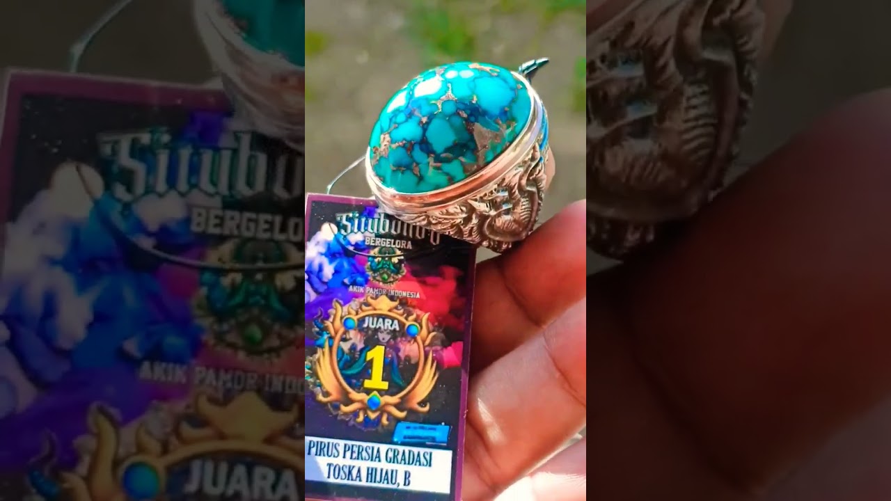 batu pirus persia kontes sitobondo pendTang baru juara soldout express