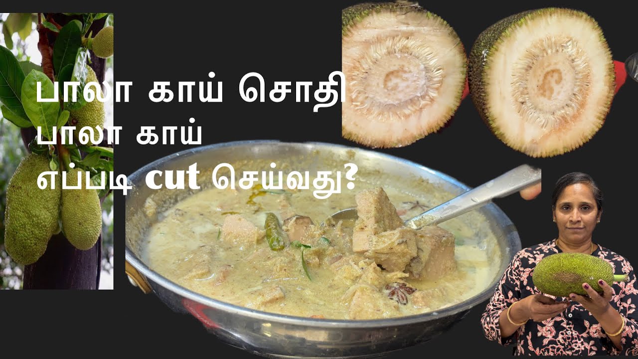பலாக்காய் சொதி | வீட்டிலேயே சுலபமாக செய்வது எப்படி | Palaakkai Sothi Recipe Tamil