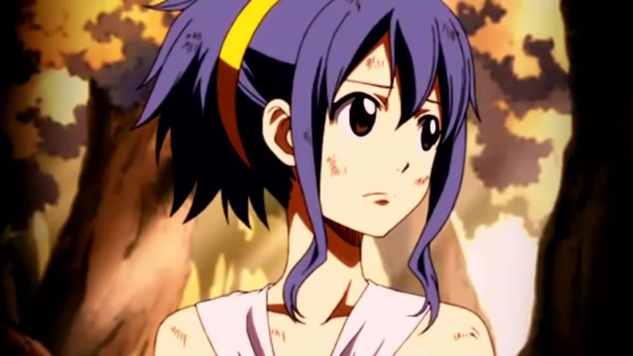 NaLu, Gruvia, GaLe, Jerza Fairy Tail Couples OTP