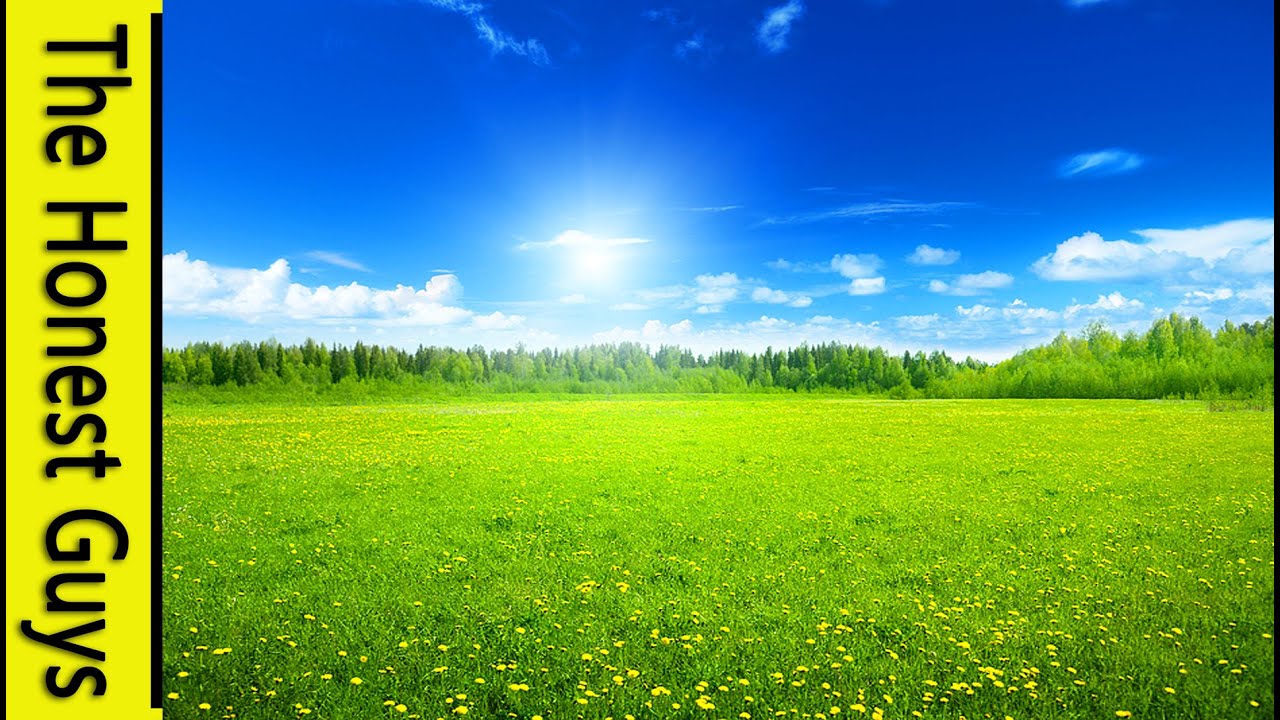 GUIDED MEDITATION - Letting Go
