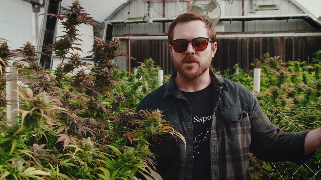 In the Grow: Our Breeding Program