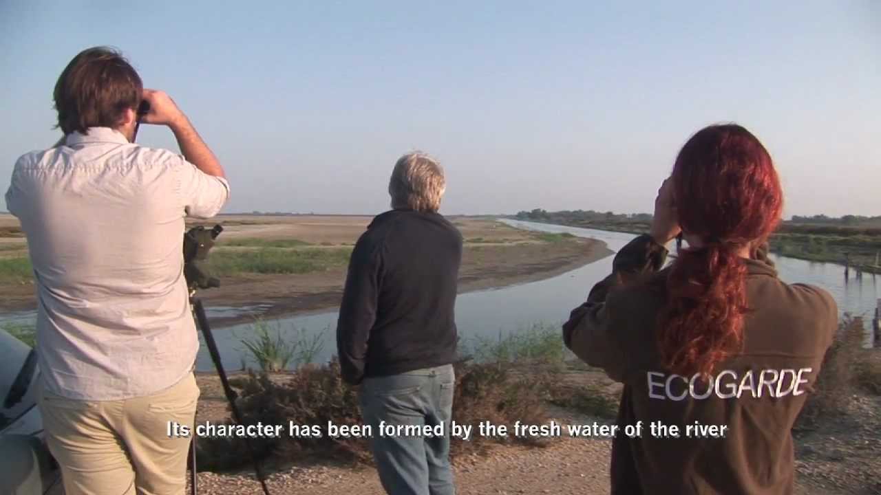The Camargue and the Camargue Regional Nature Park