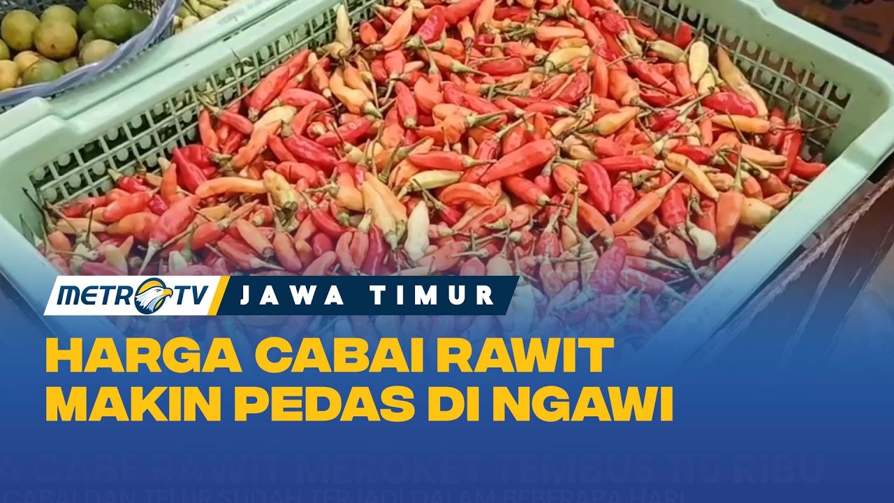 Awal Ramadan, Harga Cabai Rawit Ngawi Melonjak Drastis
