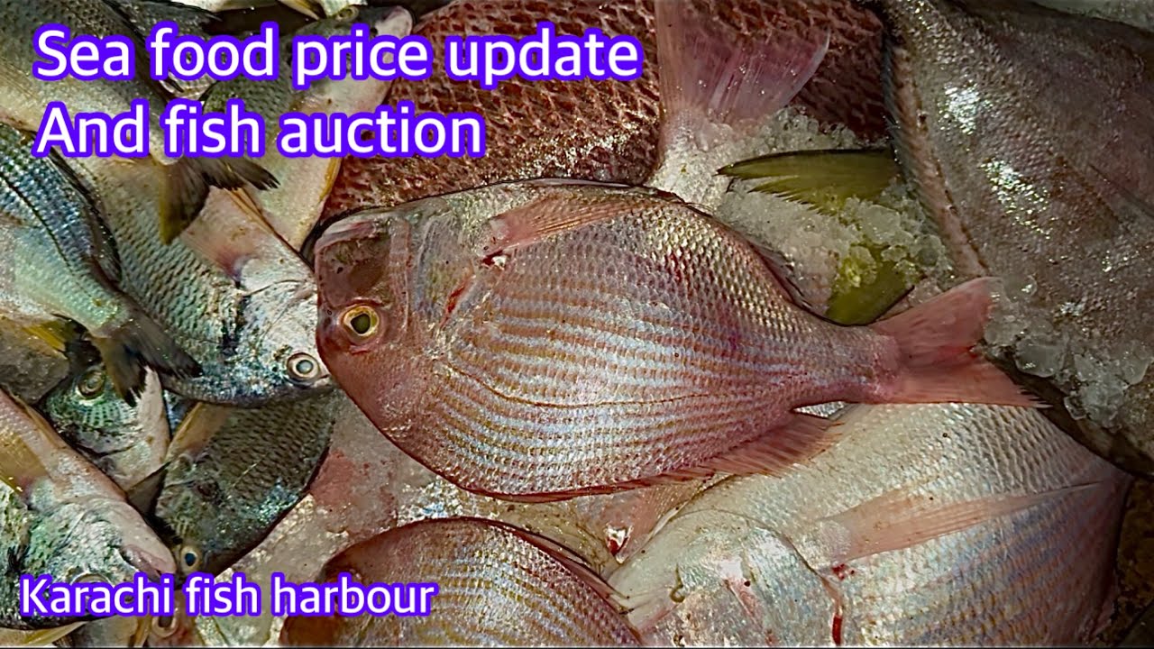 Sea food price update karachi fish Harbour October 18, 2025