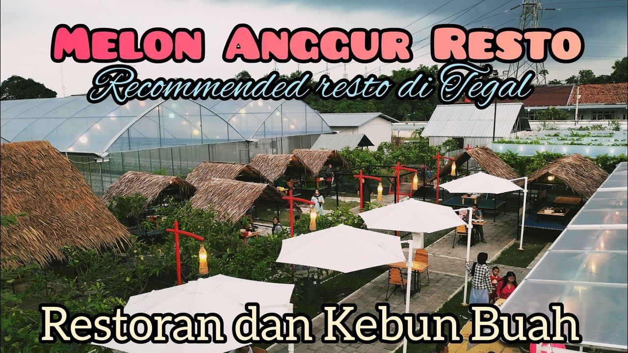 Murah Meriah Makan Disini - Melon Anggur Resto Tegal