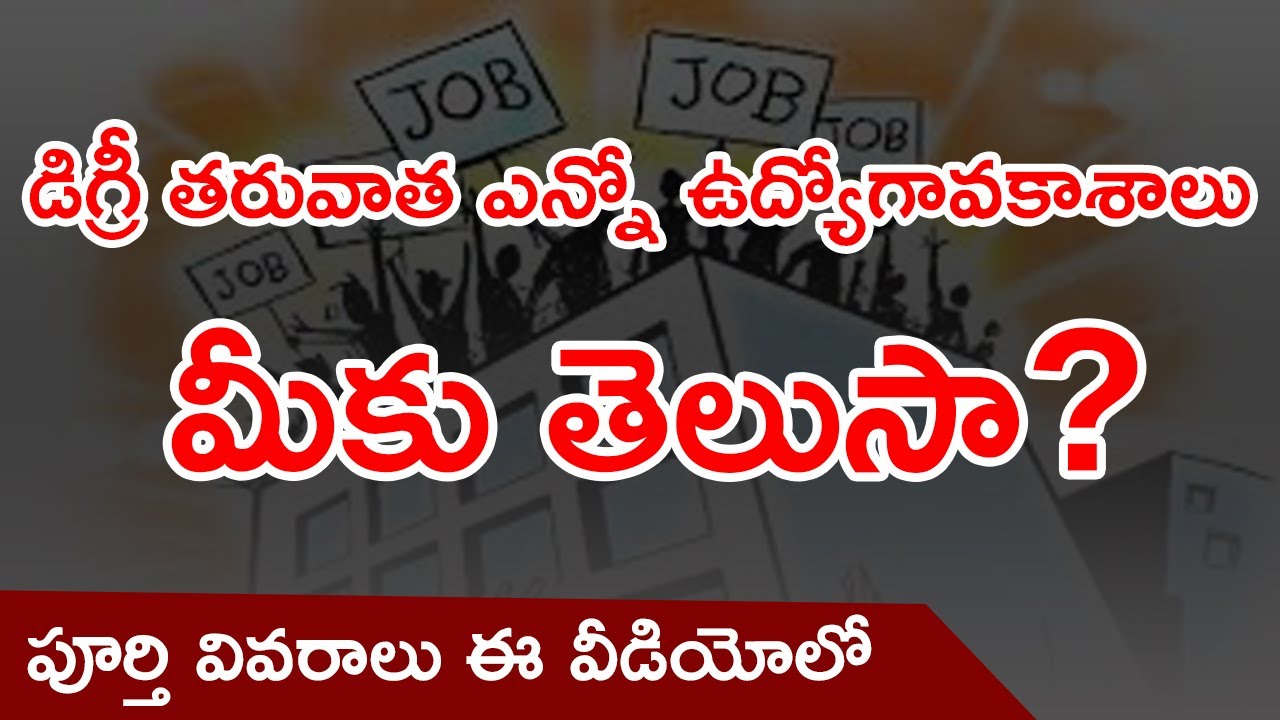 Jobs After Degree in 2023 in Telugu | B.Sc, BA, B.Com, BCA, BBA Jobs in India