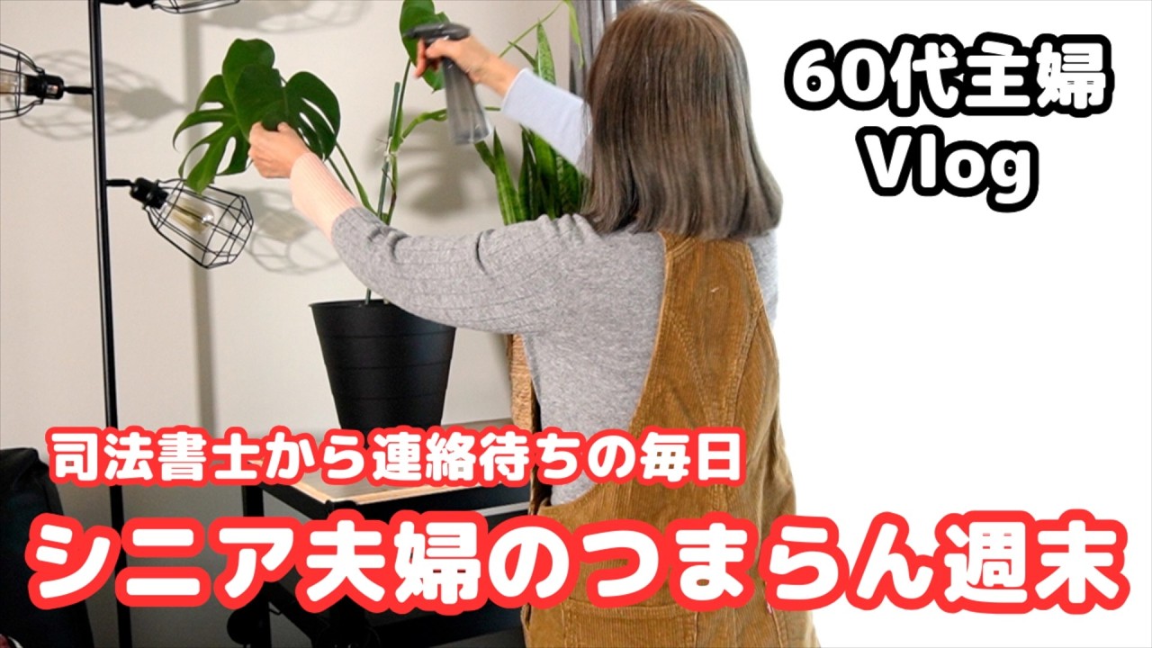 【シニア夫婦のつまらん週末】トレジョーの出来事／退職後に買いたい車／司法書士からの連絡待ち／シニアライフ60代／節約主婦／アメリカ生活 #相続問題 ＃シニアライフ ＃節約主婦