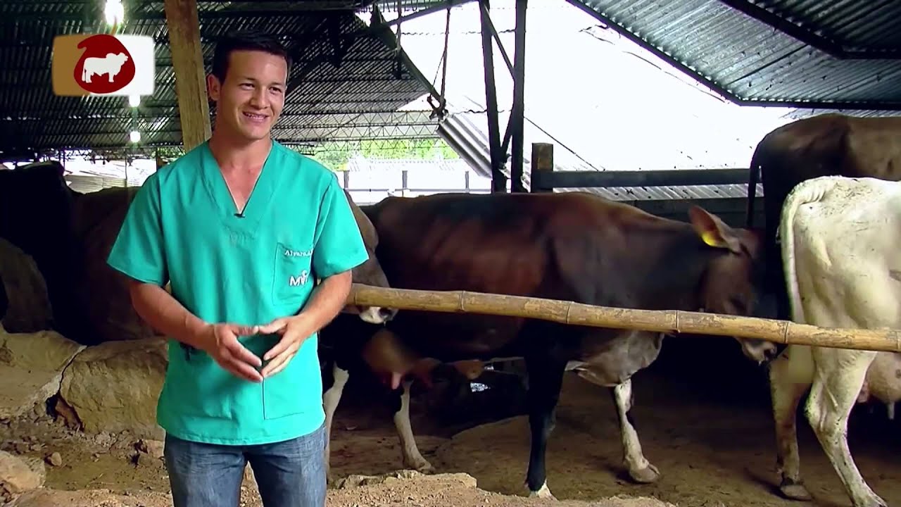 Sistemas de Ordeño Mecánico (Funcionamiento) - TvAgro por Juan Gonzalo Angel