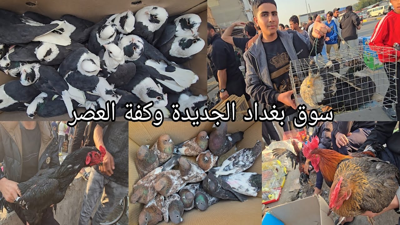 سوق بغداد الجديدة وكفة العصر اهل الكراتين والخانات والجنابيز يوم الإثنين 2026/3/15
