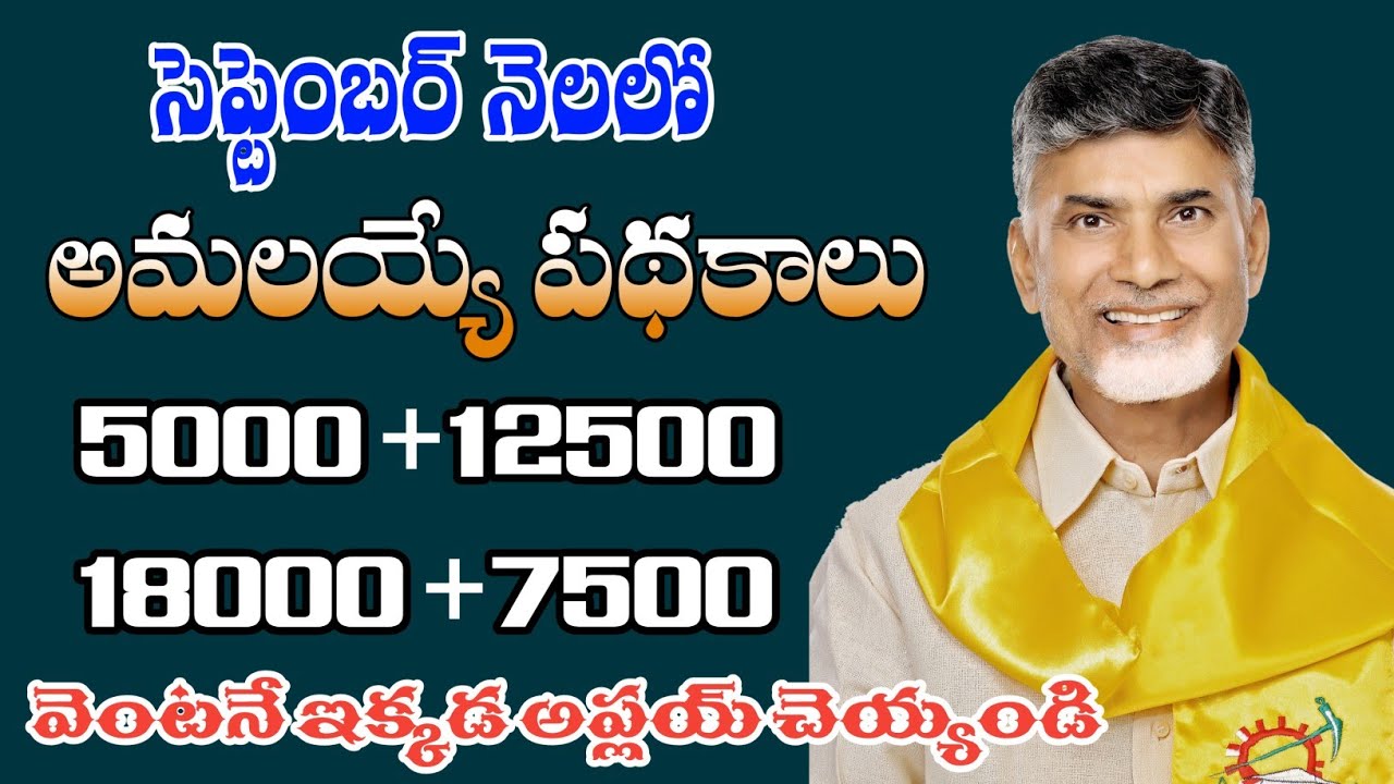 ap upcoming September schemes 2024 || upcoming September schemes in Andra Pradesh|| ap schemes 2024