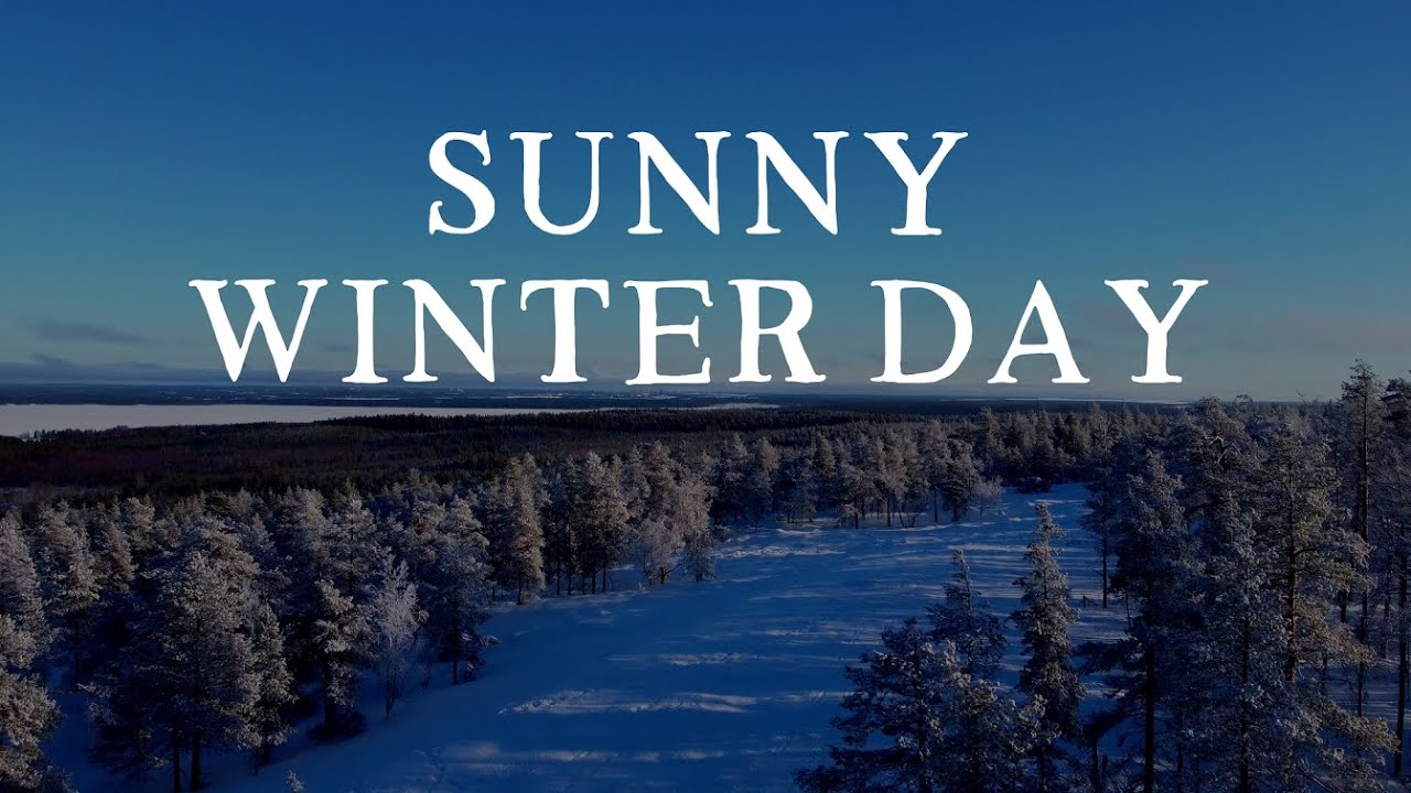 Sunny winter day