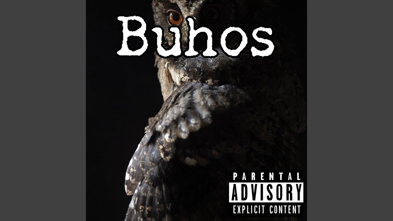 Buhos