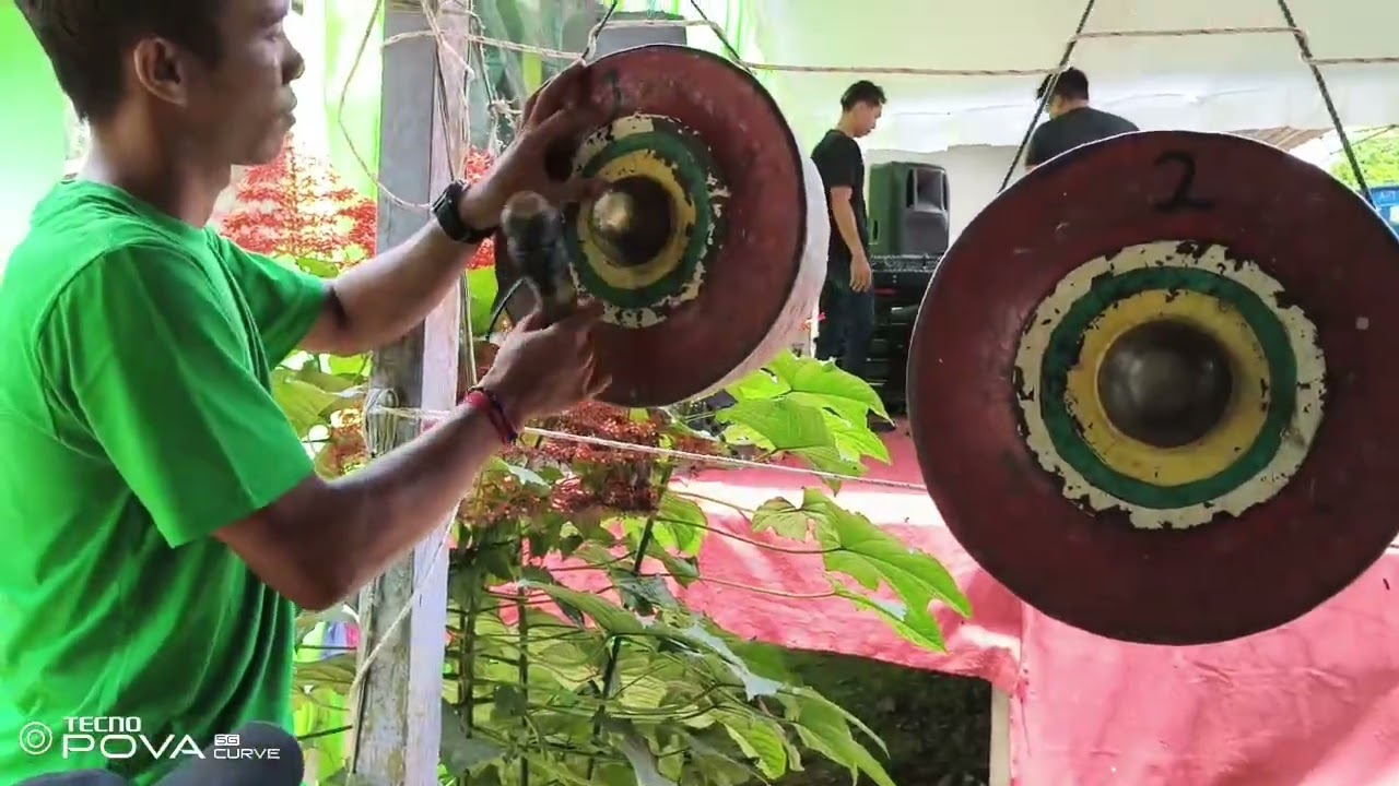 Pambak taheta km 31 desa Hampalit gandang garantung panarusan purang 