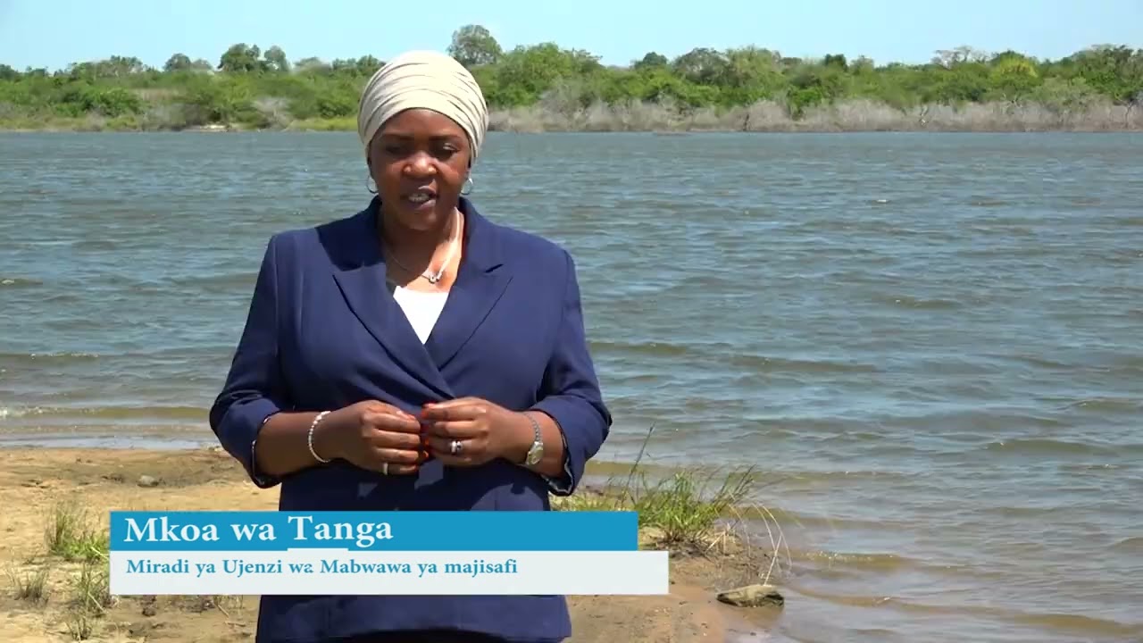 Ujenzi wa Mabwawa kuongeza huduma ya majisafi Tanga