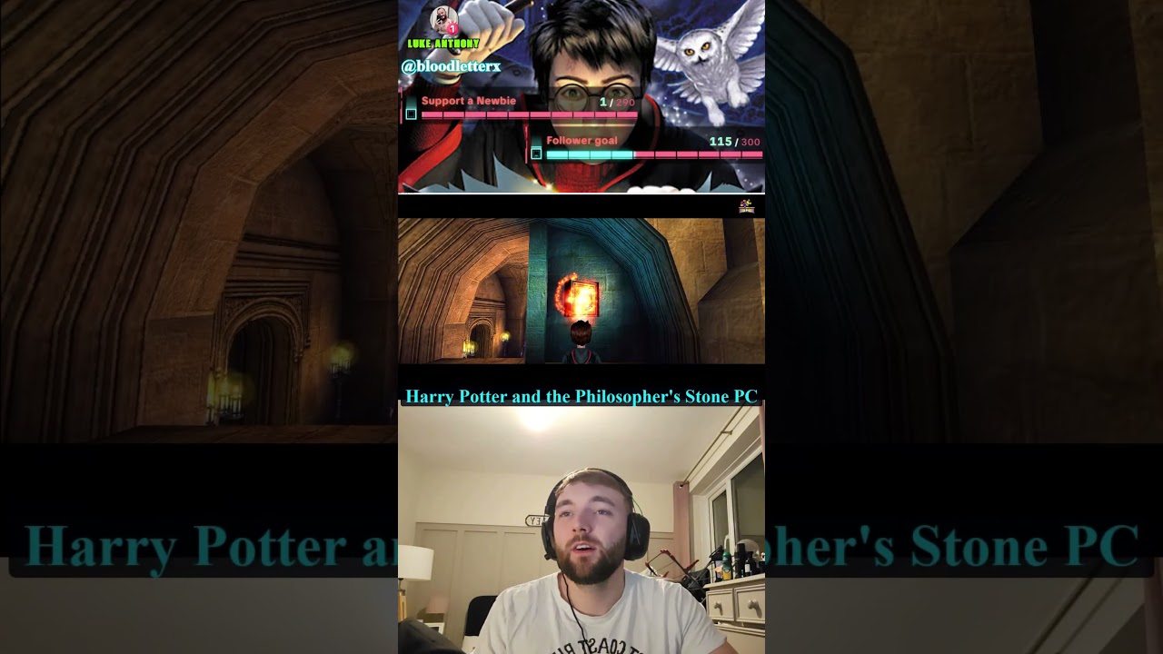 Harry Potter and the Philosopher's Stone vs Chamber of Secrets PC Games 