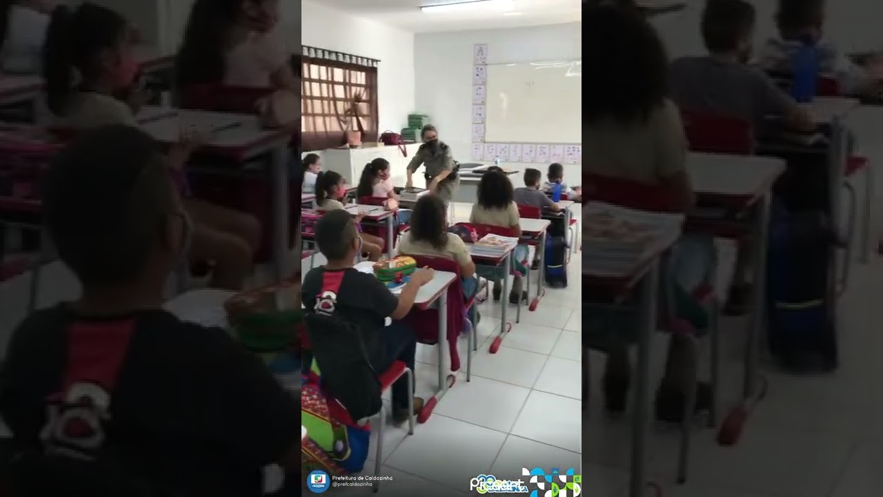 O Programa Educacional de Resist&ecirc;ncia &agrave;s Drogas e a Viol&ecirc;ncia (Proerd)