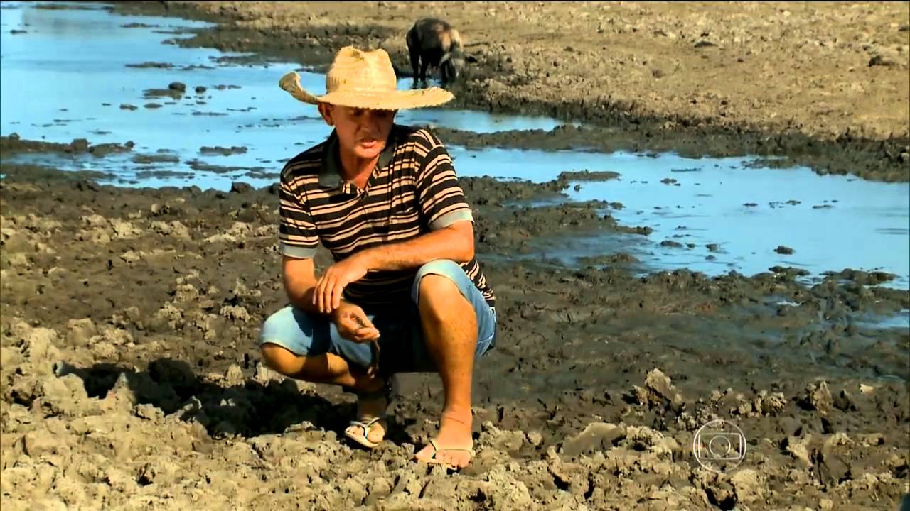 Pantanal maranhense enfrenta a pior seca em 30 anos
