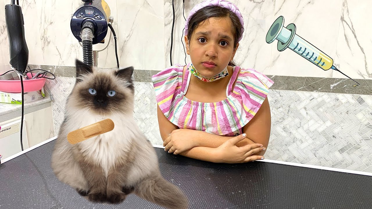 شفا تريد تكون مربية جيدة لقطتها ! Shfa want to be good for her cat