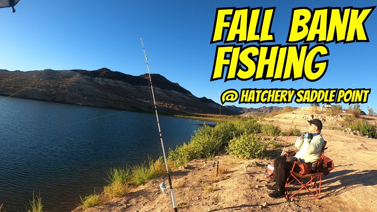 Fall Bank Fishing at Hatchery Saddle Point | Go for dinks when fishing stinks