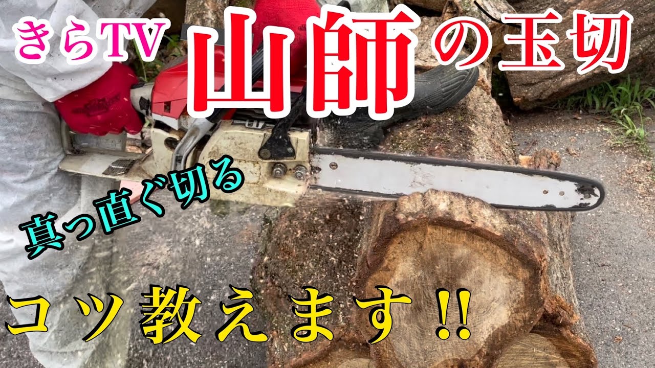 【薪作り】チェンソーで丸太を真っ直ぐ切るコツを説明します‼︎早く‼︎燃費も良く‼︎刃の切れも良くなる方法を教えます‼︎薪割りにも良い‼︎きらTV‼︎