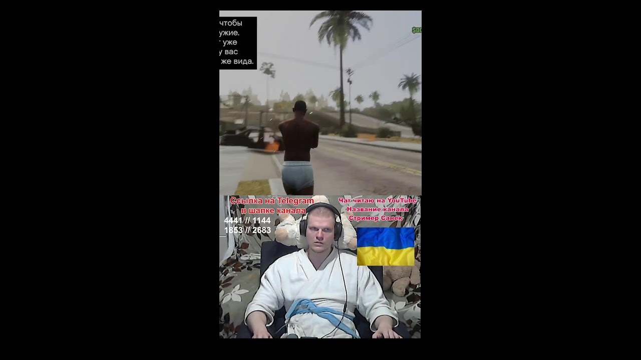 Санизи стримить