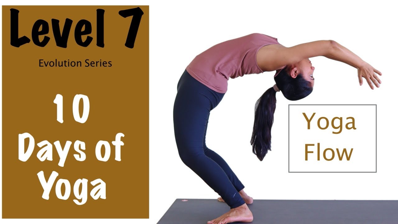 Level 7 - Yoga For Beginners - Yoga Flows - Evolution Series - Yogbela