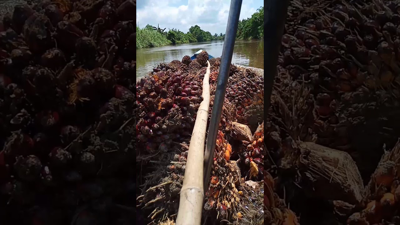 Uji coba perahu besi muatan 1 ton 5 kintal