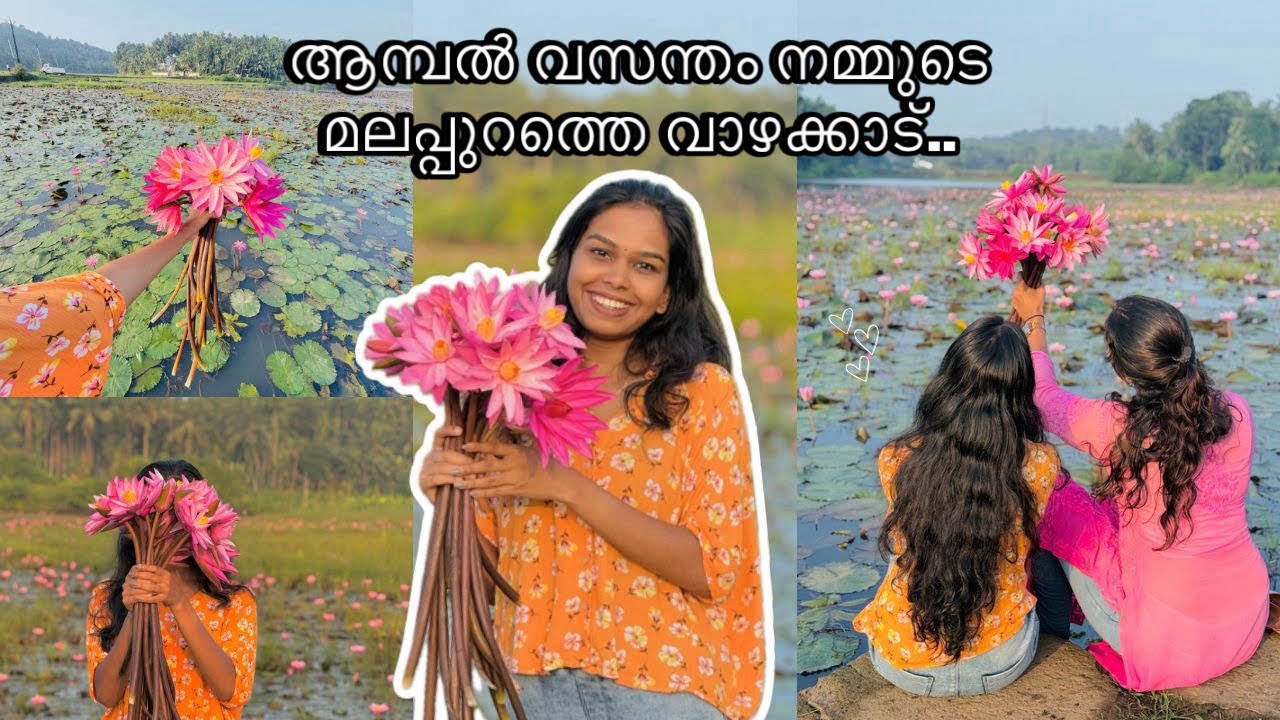 vazhakkad ambal paadam visit | vazhakkad malappuram | water lilly Kerala #malarikkal #travel
