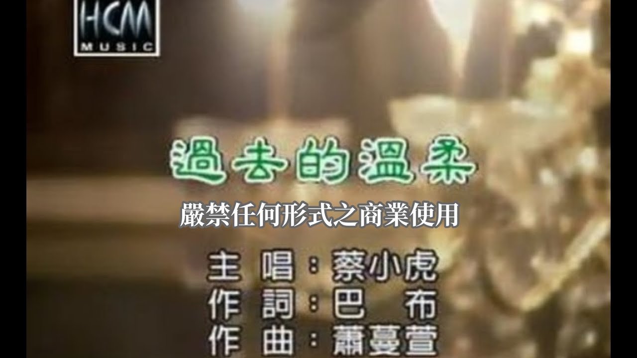 蔡小虎-過去的溫柔(官方KTV版)