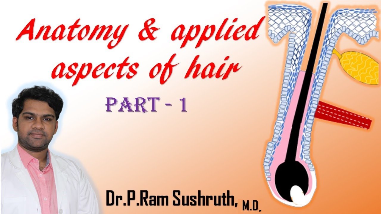 HAIR ANATOMY AND APPLIED ASPECTS - PART 1 | Dr.P.Ram Sushruth