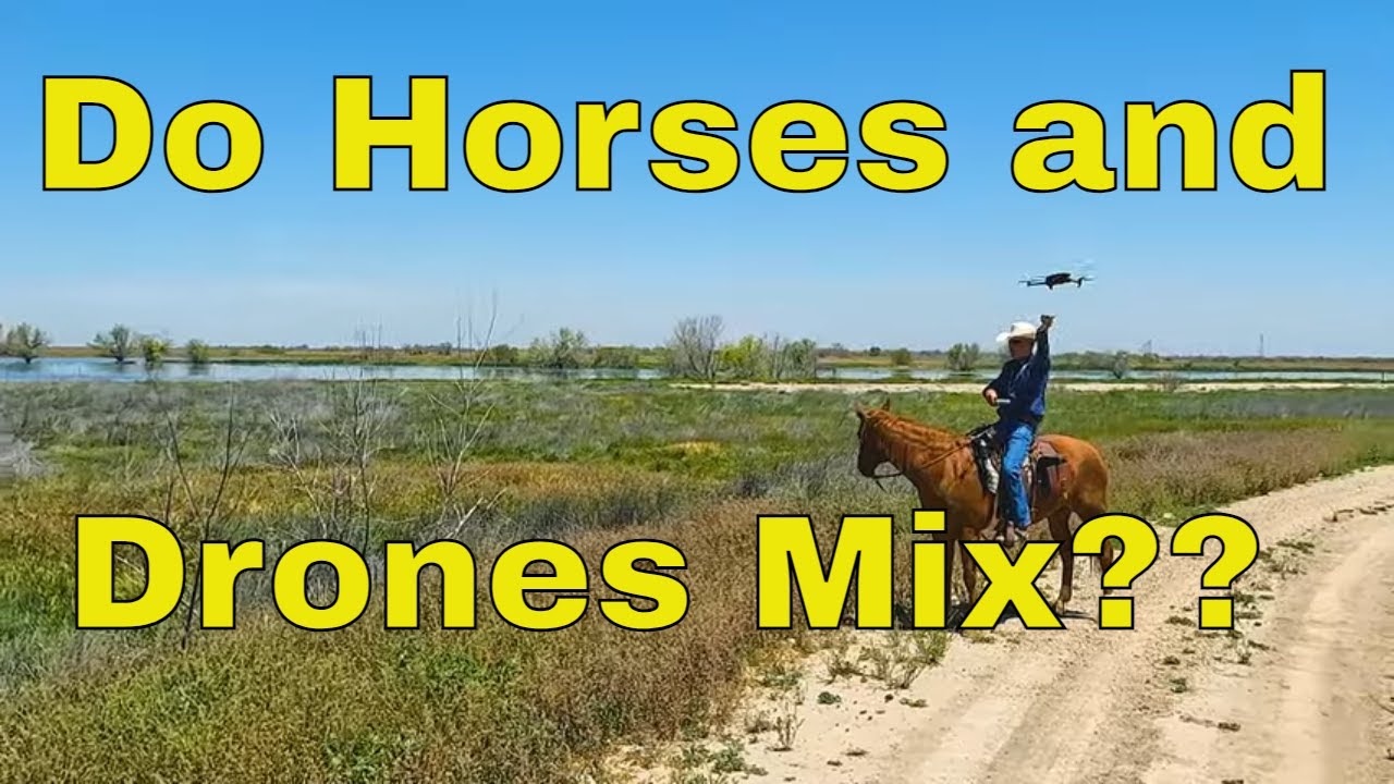 Horseback Riding with a Drone Overhead | Calm Horses & Aerial Views