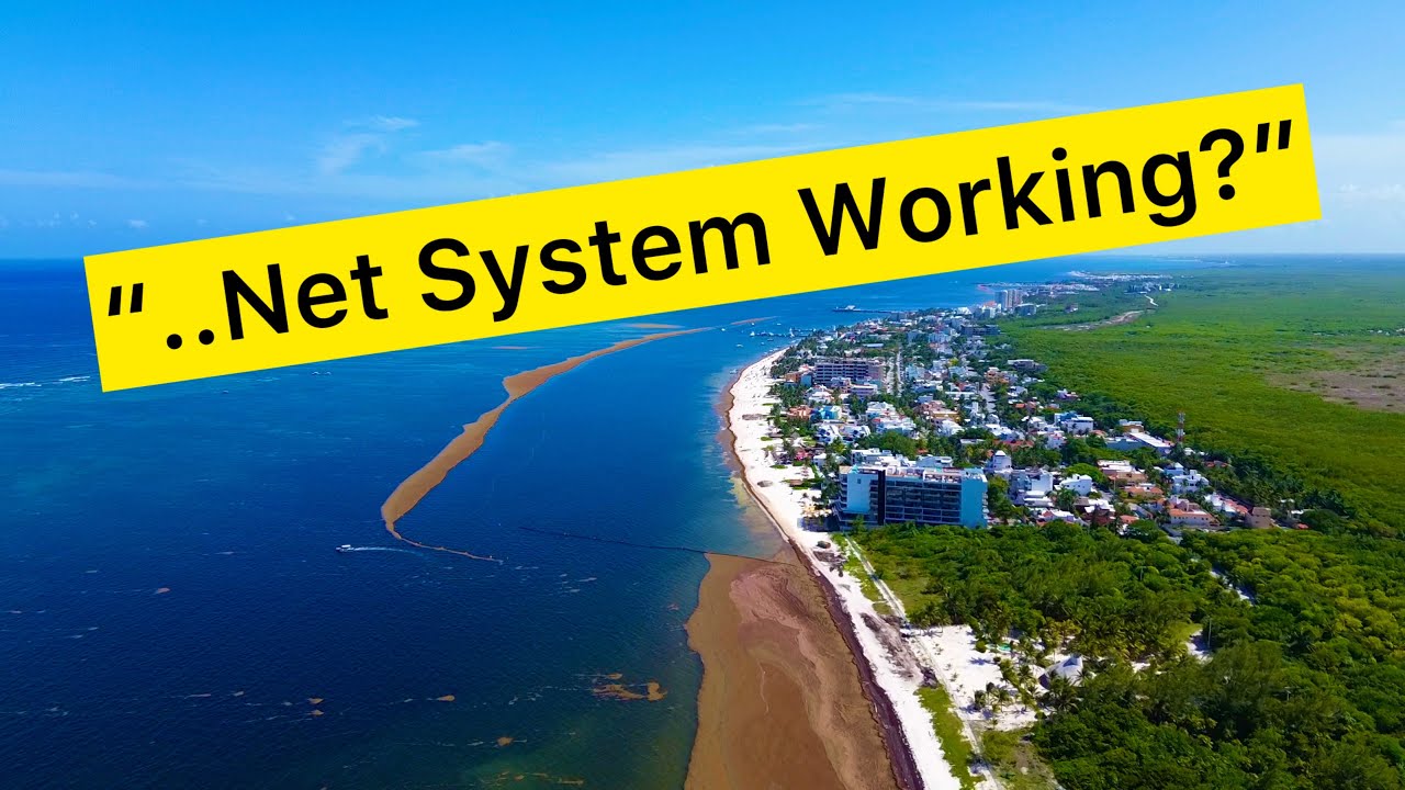 What&rsquo;s Happening in Puerto Morelos?