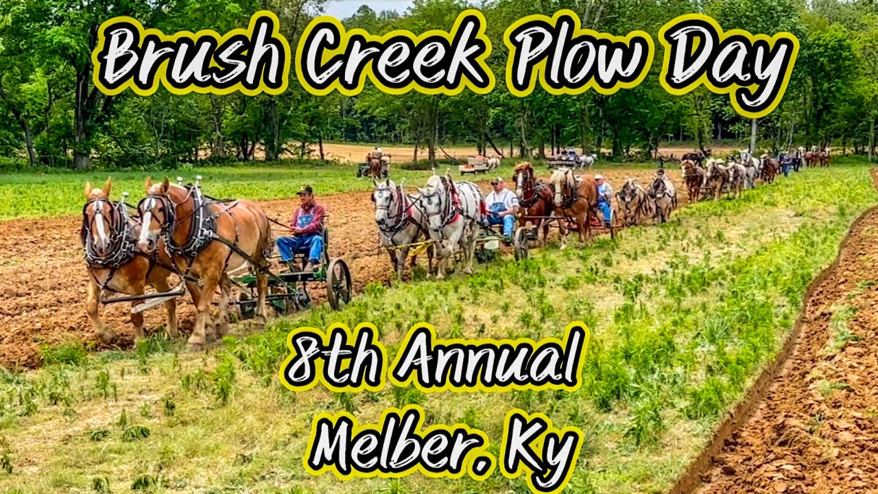 PLOWING with DRAFT HORSES and MULES at Brush Creek! #218 #plowing #drafthorses #mules #horses
