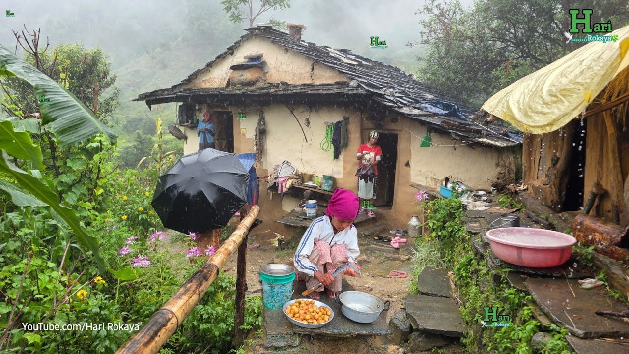 This is Himalayan Village Life in Most Rainy Session | Organic Food Cooking in Western Village Nepal