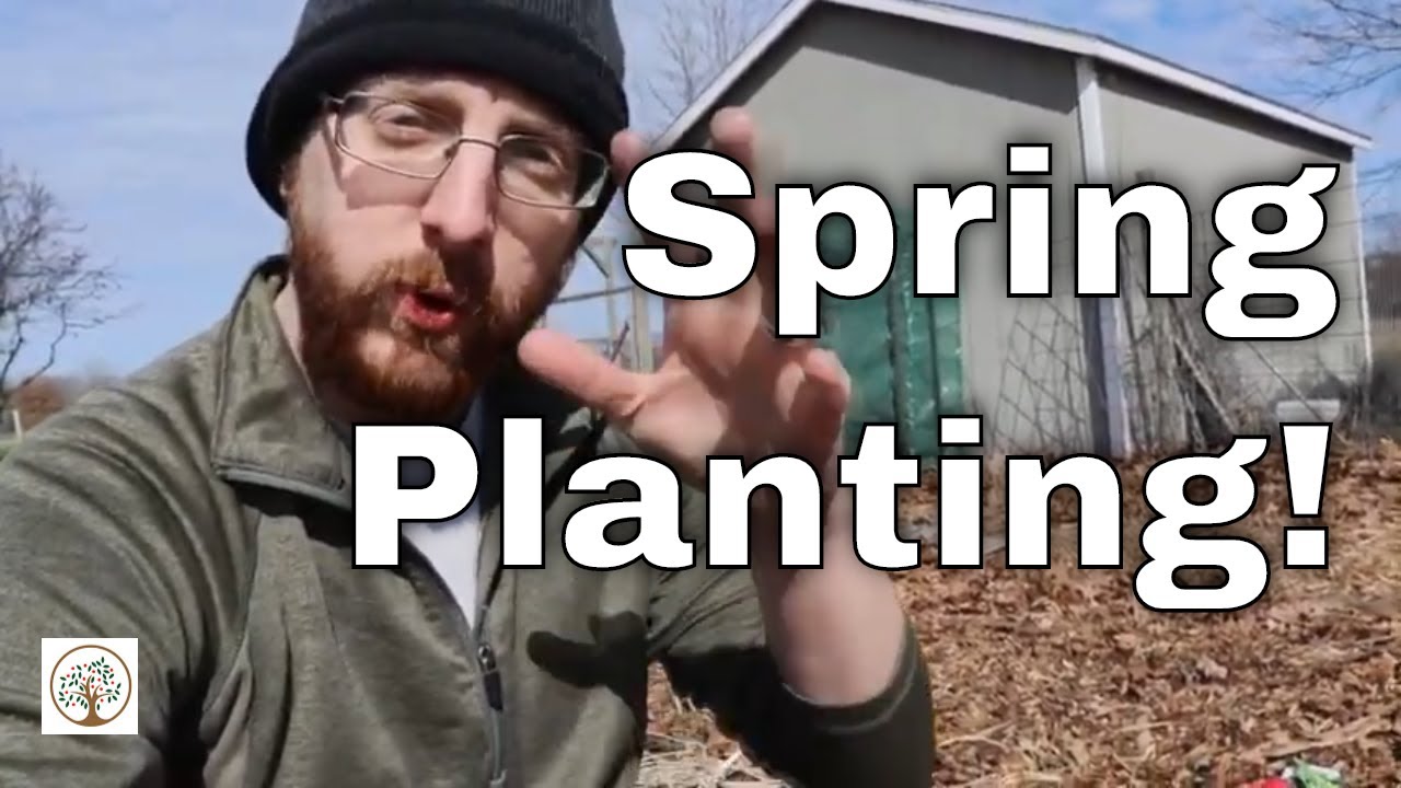 Spring Planting
