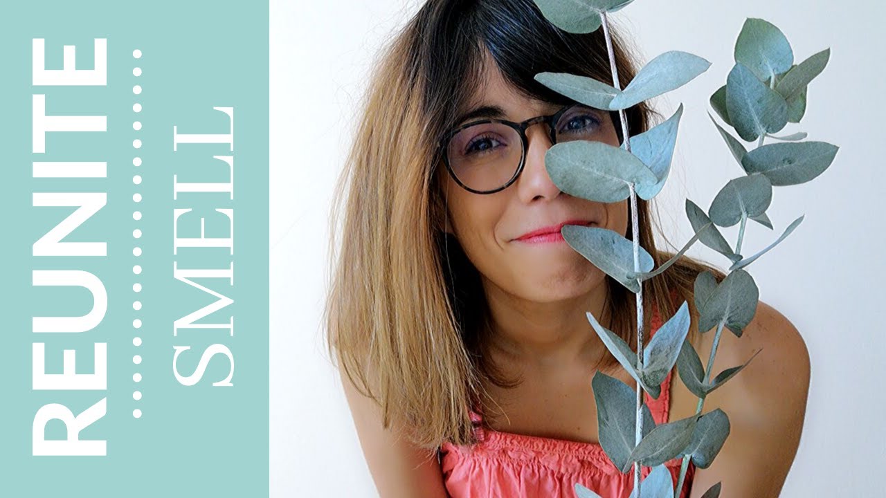 Reunite - SMELL - Eucalyptus shower hanger