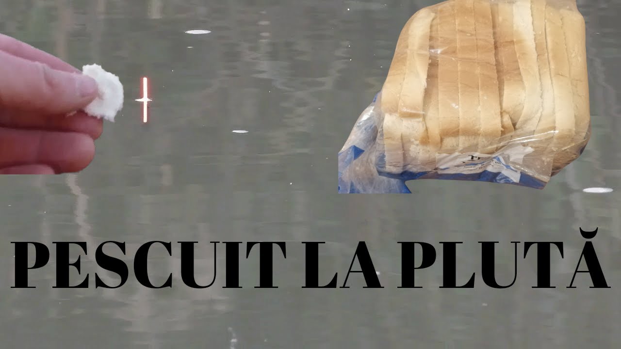 PESCUIT LA PLUTA PAINEA SI VARGA