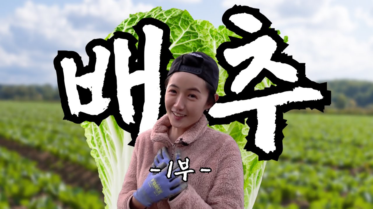 [나는농부다 327회 1부] 배추밭 귀요미, 웬만해선 그녀를 막을 수 없다
