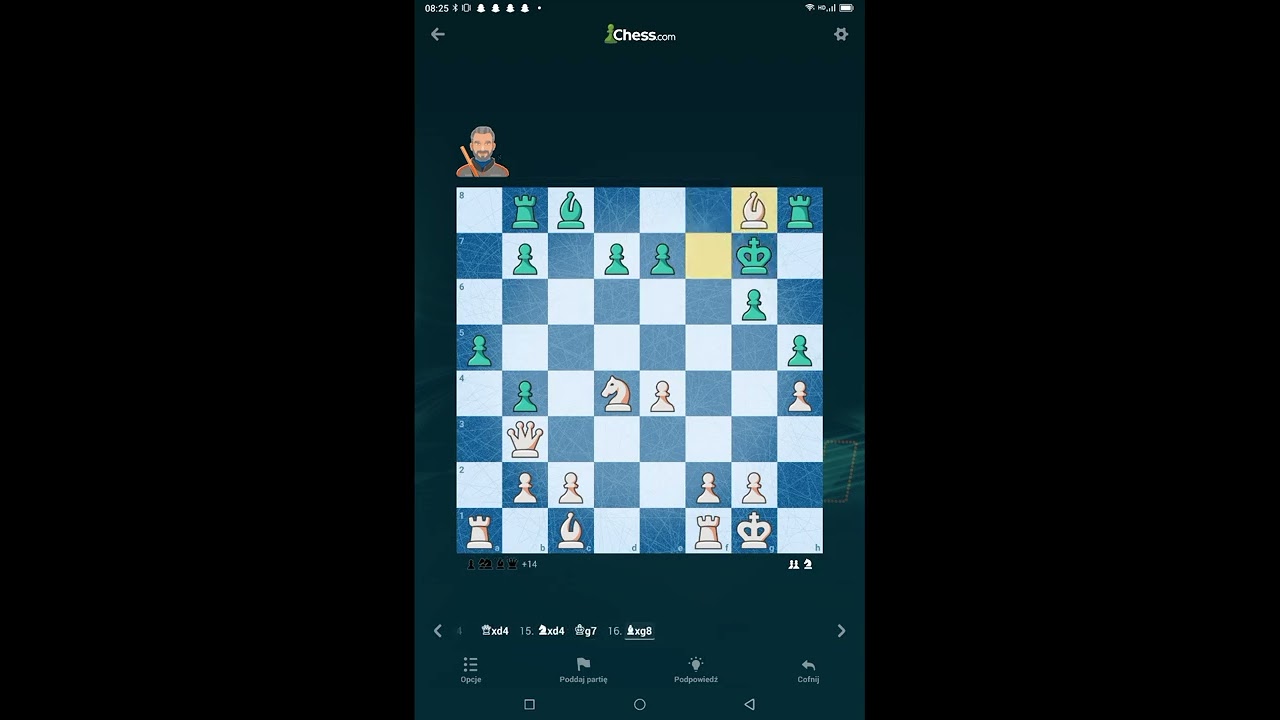 Szachy