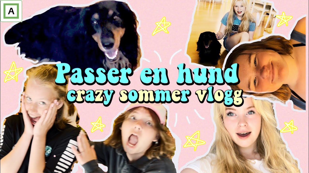 Passer en HUND!🐶// En crazy sommer vlogg! Se hva som skjedde #hund #venner #sommer #bading #vlogg