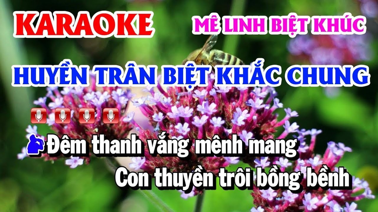 Karaoke Huyền Trân Biệt Khắc Chung | Mê Linh Biệt Khúc Song Ca Điệu Lý Cải Lương