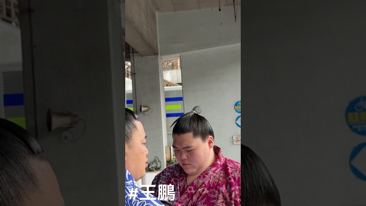 王鵬 豪ノ山 大栄翔【千葉巡業】 ✨ ［CHIBA JUNGYO］OHO 2025/4/13