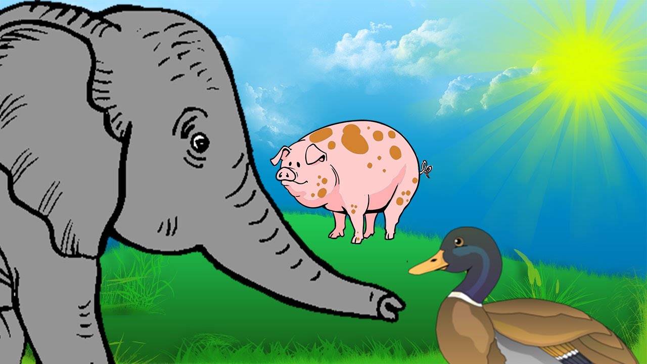 Tiere und ihre Laute aus dem Tierbuch | Kinderanimation zum lernen